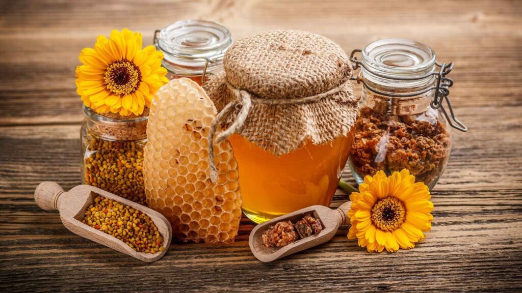 Продукти бджільництва: обніжжя (пилок квітковий), перга, прополіс, мед, віск