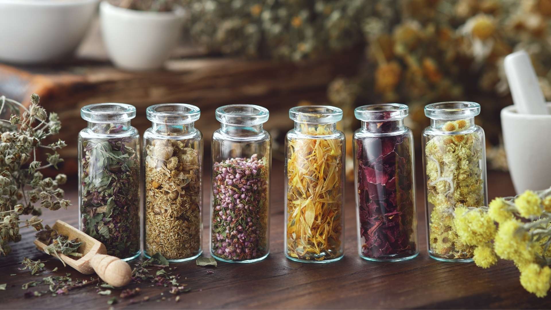 Лікарські рослини: джерело сили, здоров’я та краси