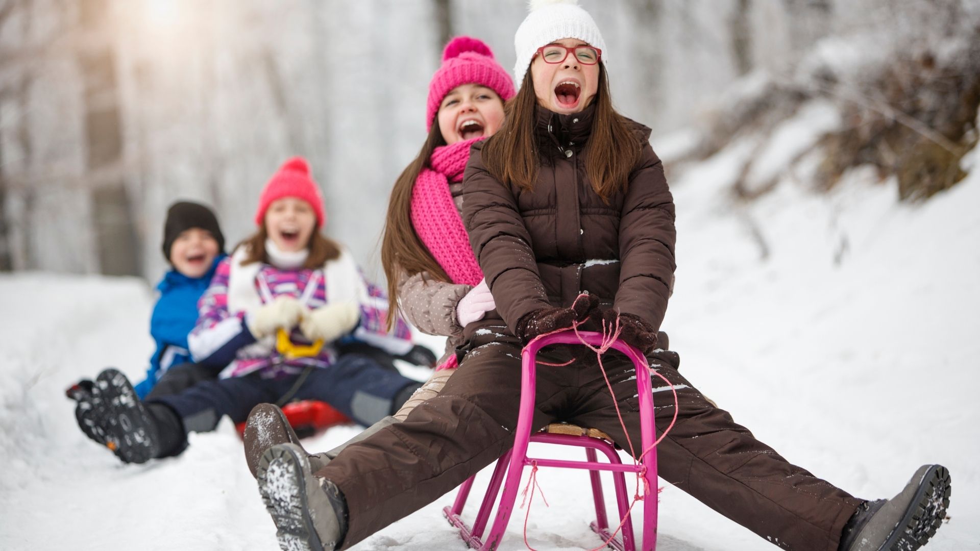 Імунна система і 5 Апіпродуктів, які допоможуть підтримати організм природним шляхом