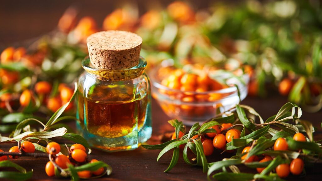 Обліпихова олія та ягоди обліпихи крушиновидної на гілках