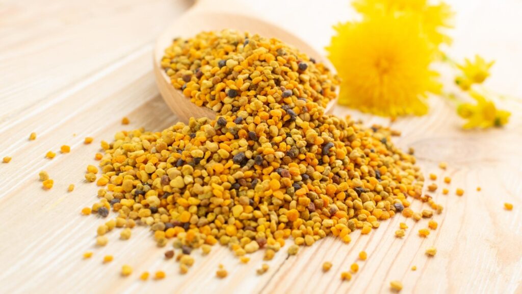 Бджолине обніжжя крупним планом