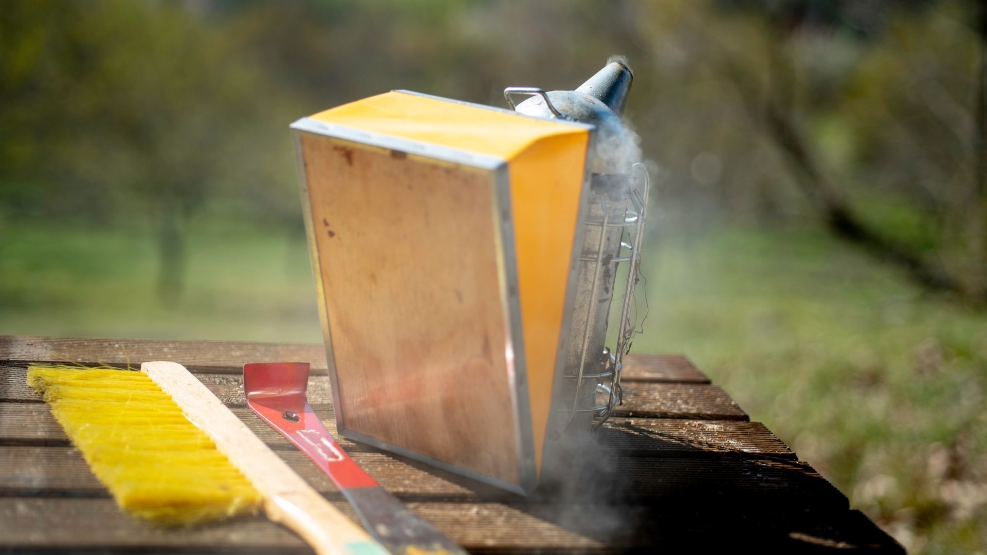 Весняні роботи на пасіці