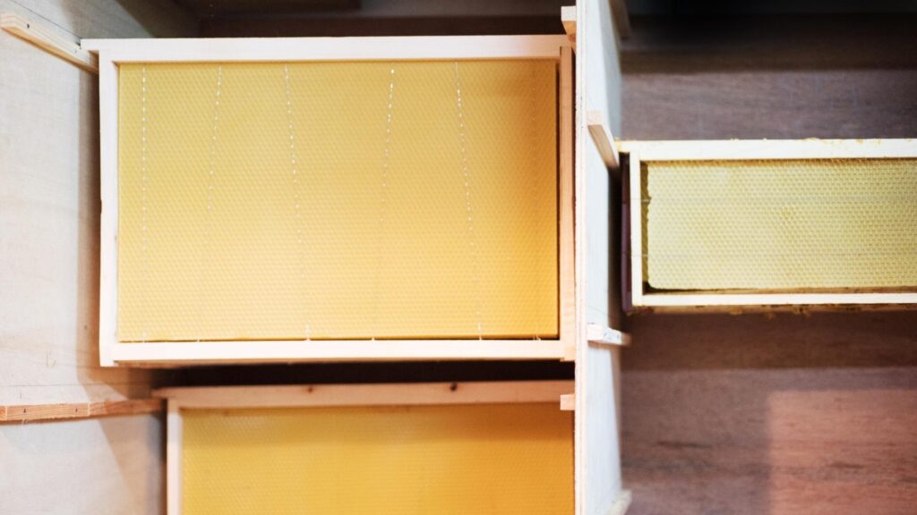 Нові навощені рамки, підготовлені до початку весняного сезону на пасіці